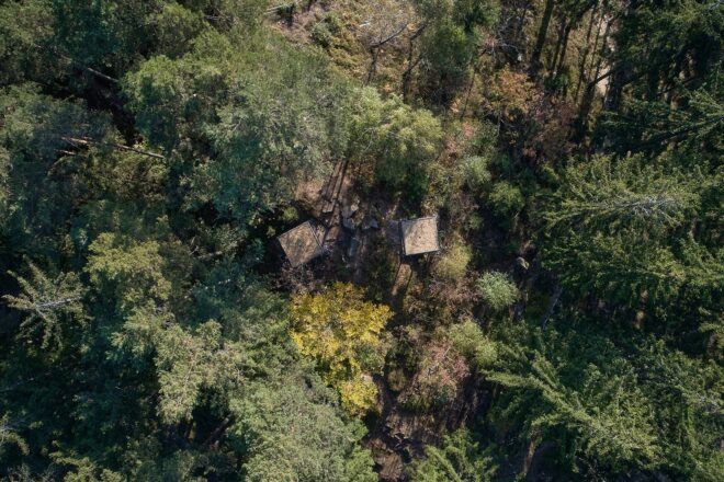 Aerial view of a wooden structure sitting within a forest