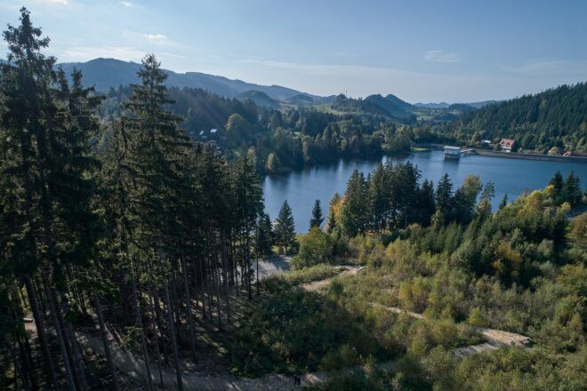 Overlooking a quarry with forest