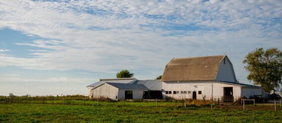 A green grass land with a barn and a house