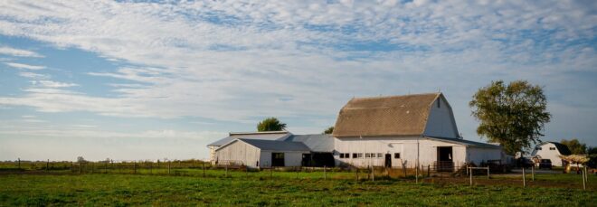 A green grass land with a barn and a house