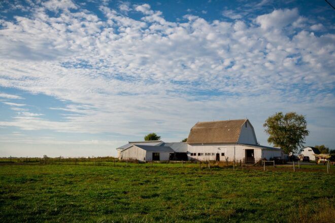 A green grass land with a barn and a house