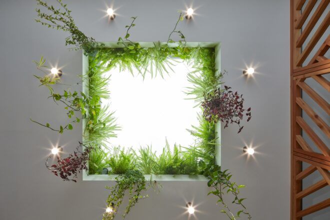 A square ceiling window with plants hanging from it