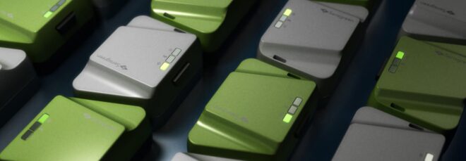 Rows of Sensgreen in grey and green colors