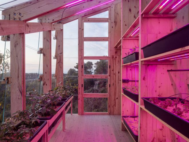 View of the planters in the top level of the greenhouse, lit with magenta LED light to support plant growth