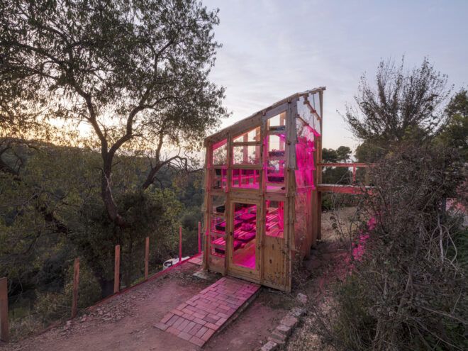 Side view of the Solar Greenhouse facing the entry to the bottom level. A bridge to the top level stretches out from behind the nearby vegetation