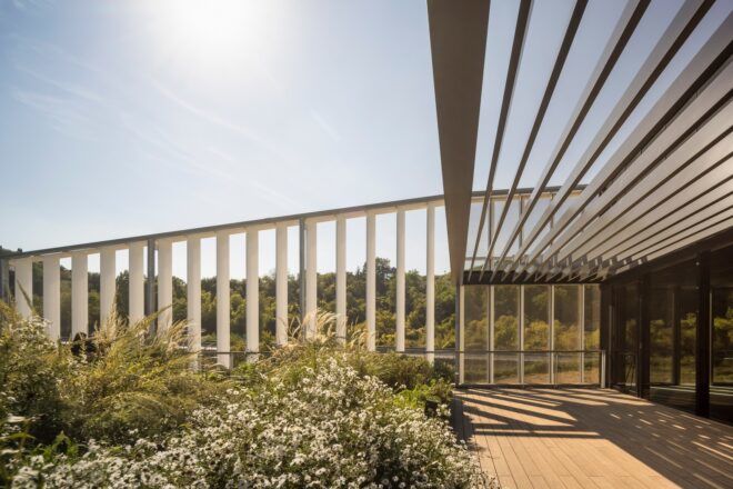 An awning that filters light through it