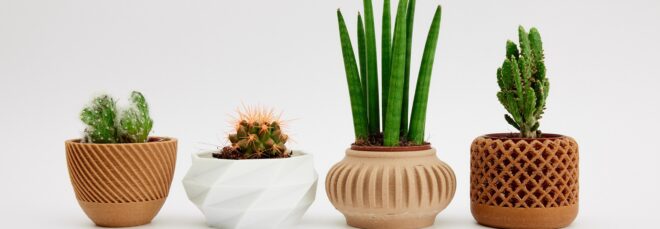 Four potted plants