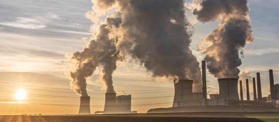 A plant emitting carbon.