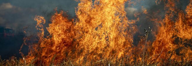 A wildfire.