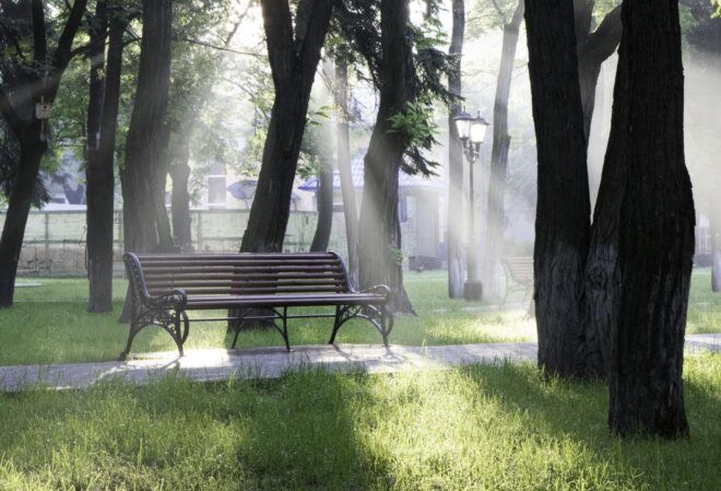 A park.