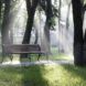 A park.