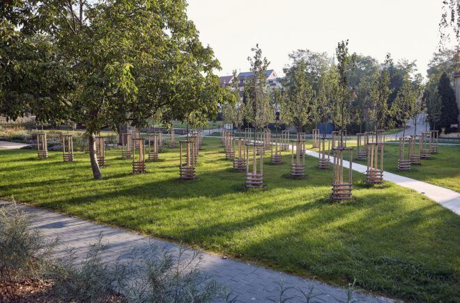 The landscape of a park with pedestrian walkways and trees