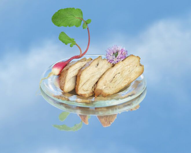 A plate of plant-based chicken strips with a blue sky background