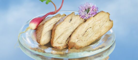 A plate of plant-based chicken strips with a blue sky background
