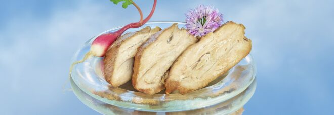 A plate of plant-based chicken strips with a blue sky background