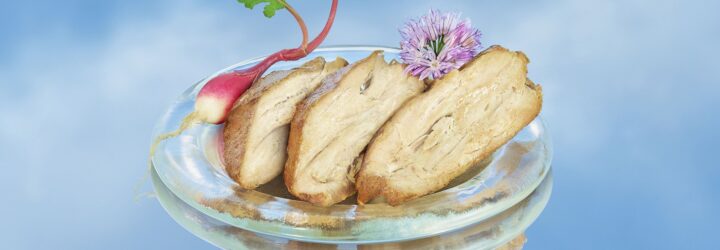 A plate of plant-based chicken strips with a blue sky background