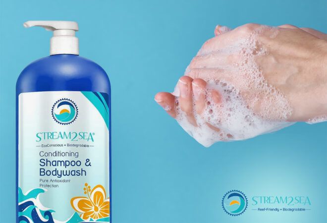 A blue bottle of shampoo/body wash to the left of a pair of sudsy hands.
