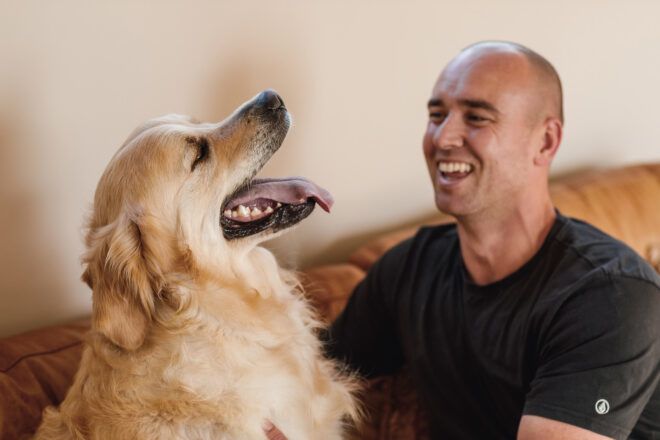 A bald man and a golden retriever smile at each other