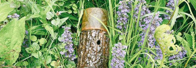 A wooden object lays on grass