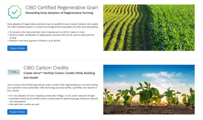 A page with a photography of rows of agriculture and small sprouts. It is titled Regenerative Grain