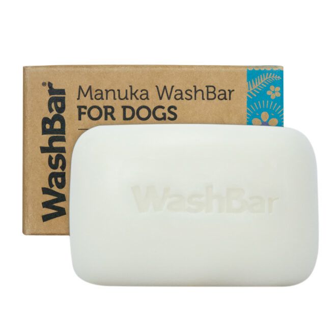 A white bar of soap that has the words WashBar imprinted on it stands in front of a cardboard packaging