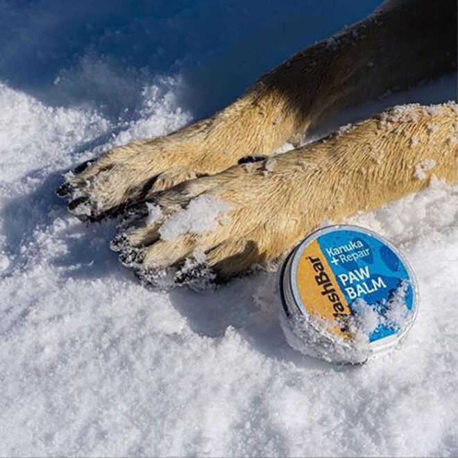 Two dog paws in the snow next to a canister of WashBar