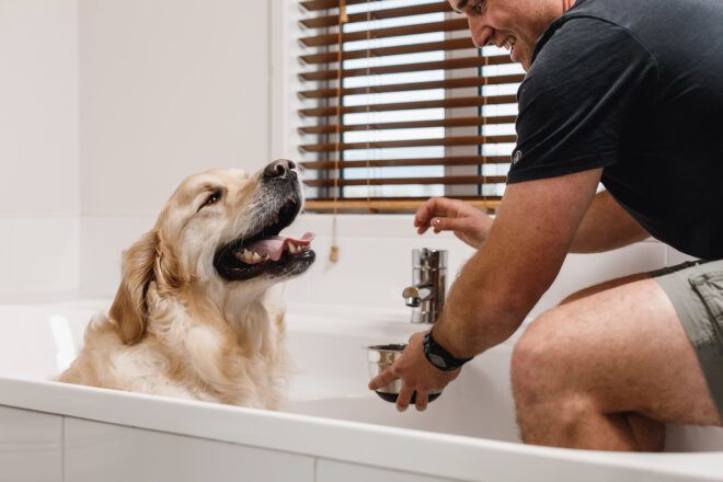 A dog with its mouth open to a man in a gray shirt both in a white bathtub