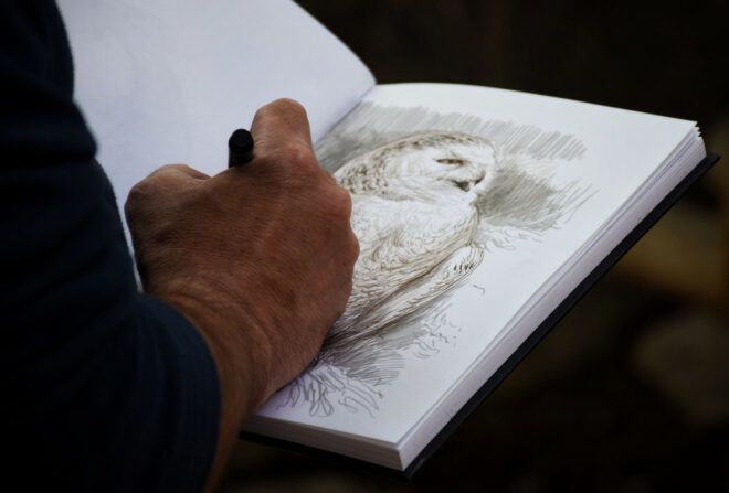 A hand draing an owl for Audubon Day.