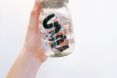 A clear glass jar with a black squiggly inside it