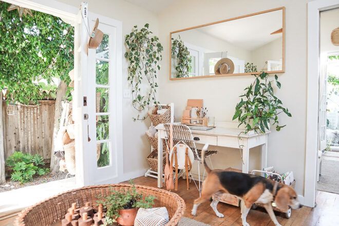A dog walks inside a white room with a rectangle mirror hanging on the wall