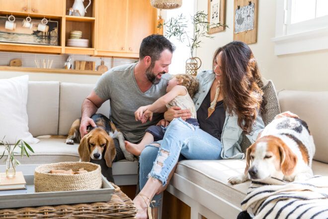 A woman and a man holding a baby in their hands with two dogs on either side of them