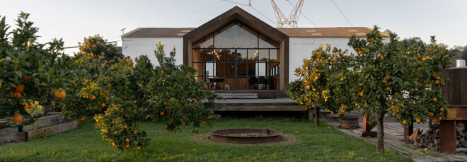 An overview look of the house overlooking an orange orchard lined in two rows from the house