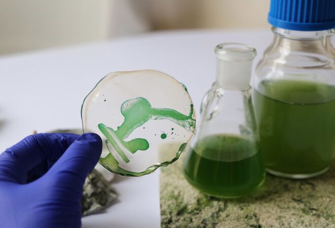 A blue gloved hand holding a glass film with green stain on it and green filled vials behind it
