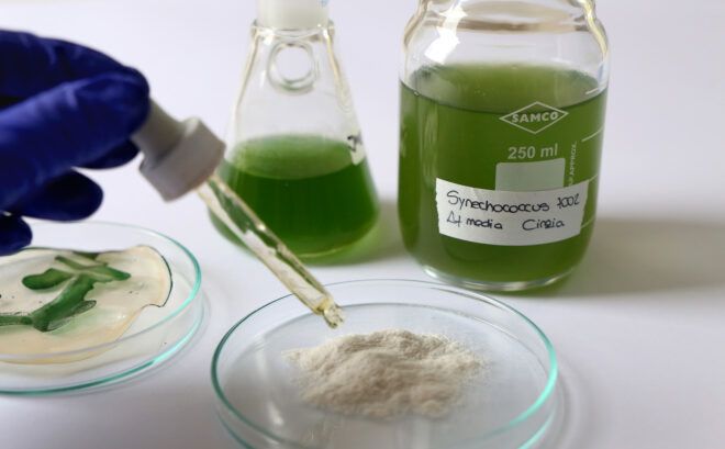 A gloved hand with a dropper of liquid onto a glass disk with a powered substance. There are also green vials displayed behind it