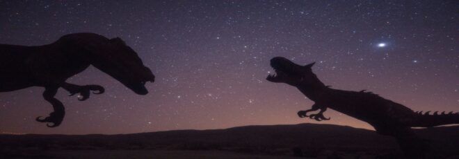two dinosaurs against a night sky