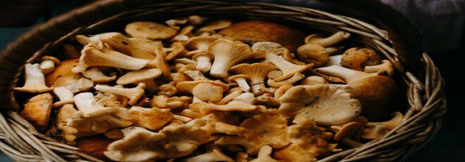 a basket of mushrooms