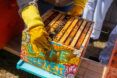 A person holding a bee box