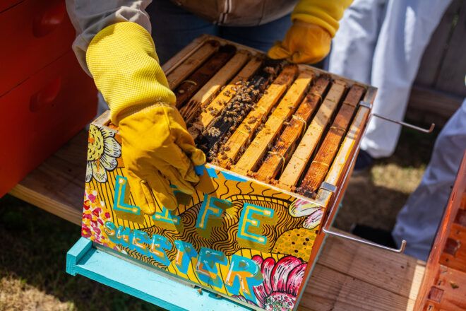 A person holding a bee box