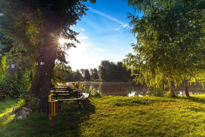 A green landscape of a park overlooking a pond