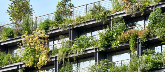 An up-close photo of the greenery on each of the apartment balconies