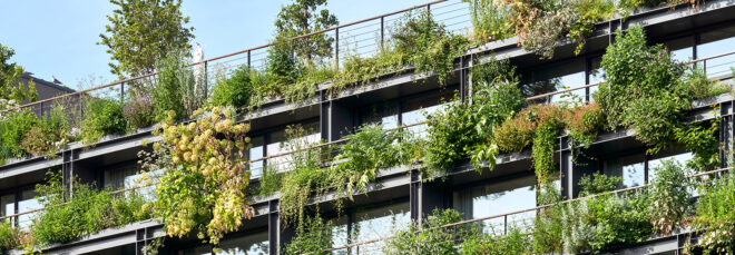 An up-close photo of the greenery on each of the apartment balconies