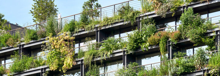 An up-close photo of the greenery on each of the apartment balconies