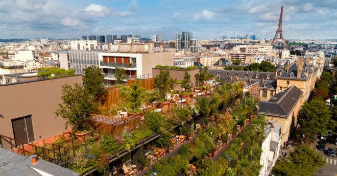 A green rooftop filled with plants