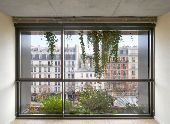 A window with plants on the other side