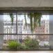 A window with plants on the other side