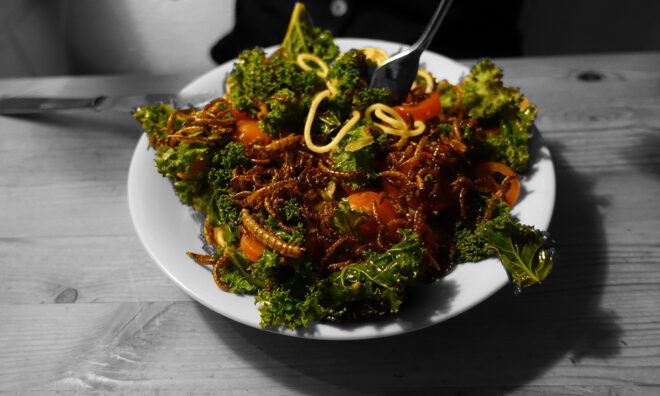 Mealworms on a salad