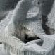 A threaded sculpture