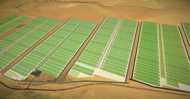 Rows and rows of algae lined up in a valley area