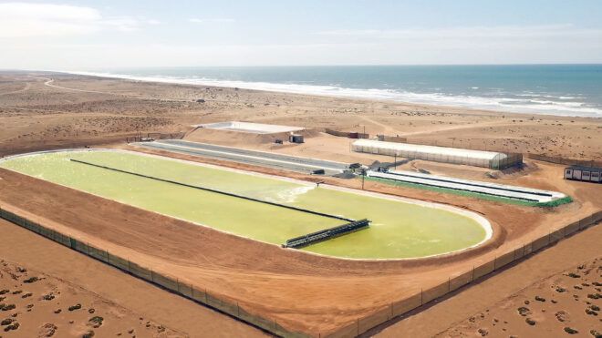 An aerial view of a large bank of water containing algae