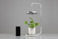 The full CURA hovering above a potted plant with a black device standing next to it